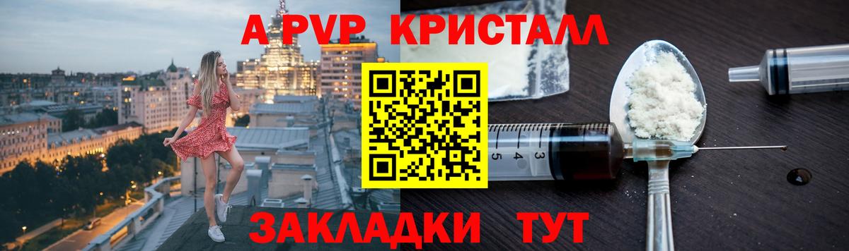 Alfa_PVP СК Кузнецк