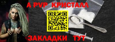 a pvp Кингисепп
