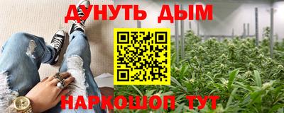 a pvp Кингисепп