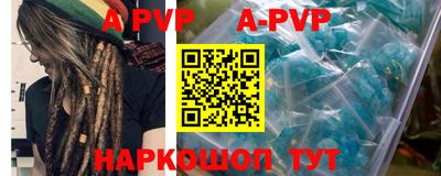 a pvp Кингисепп