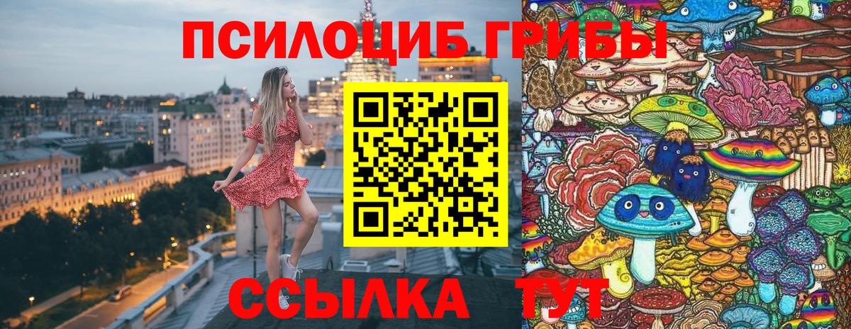 Псилоцибиновые грибы MAGIC MUSHROOMS  Псилоцибиновые грибы Psilocybe  Кузнецк  Вход с VPN 